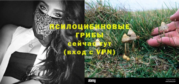 дурь Лиски