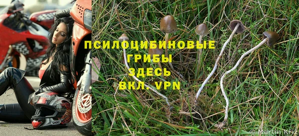 дурь Лиски