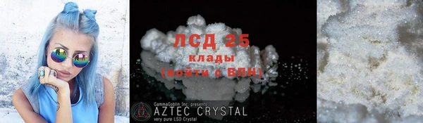 спайс Ладушкин