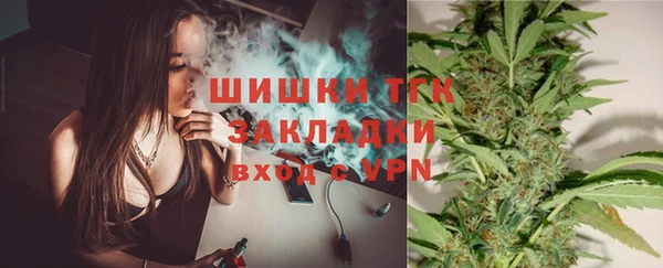 спайс Ладушкин