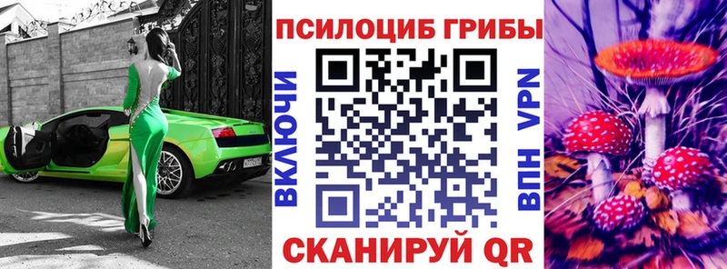 Купить закладки  Красный Сулин  Галлюциногенные грибы Cubensis 