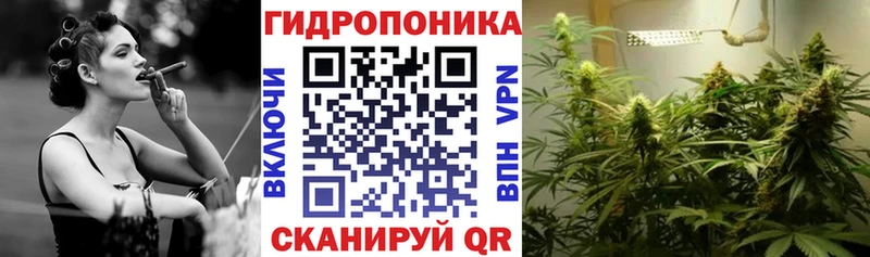 Купить закладки  Красный Сулин  Марихуана сатива 